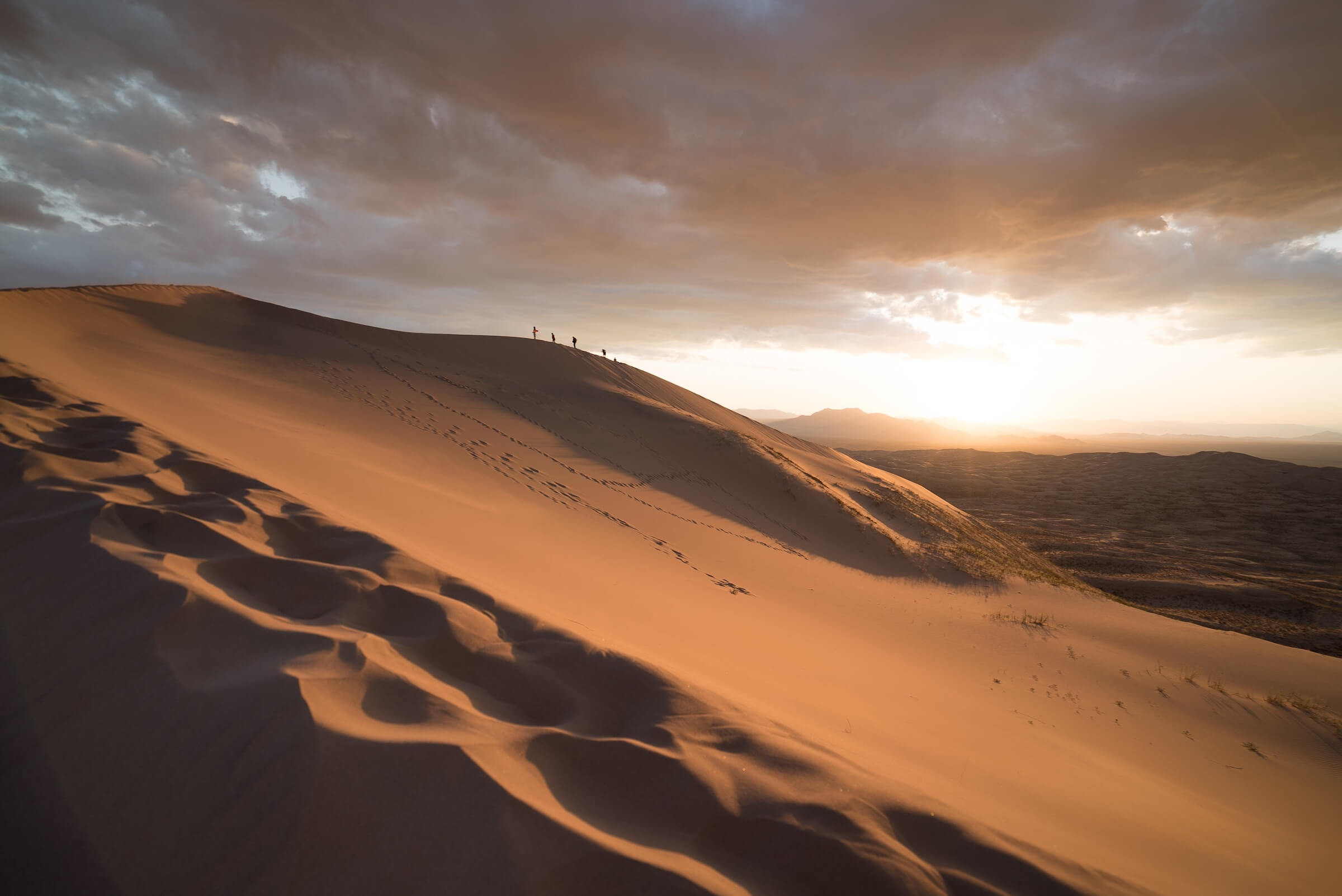 m5p0c6abwds-joshua-sortino