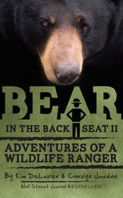 Bear in the Back Seat II